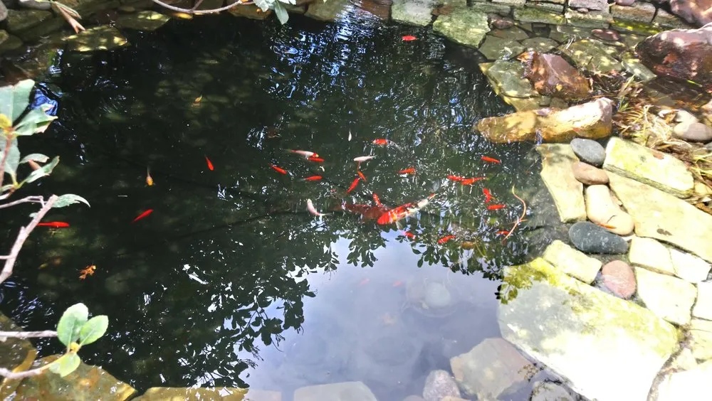 Custom outdoor landscaping in Fort Worth, TX by Everything Fishy