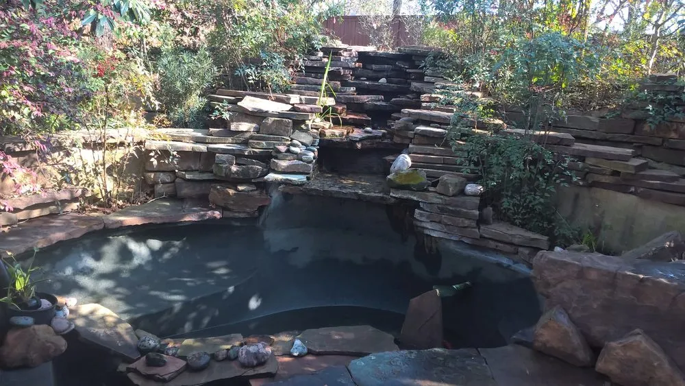 Top-rated outdoor landscaping for beautiful yards in Fort Worth, TX by Everything Fishy