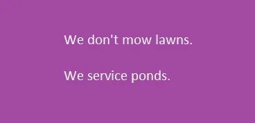 Reliable landscape installation in Fort Worth, TX - Everything Fishy