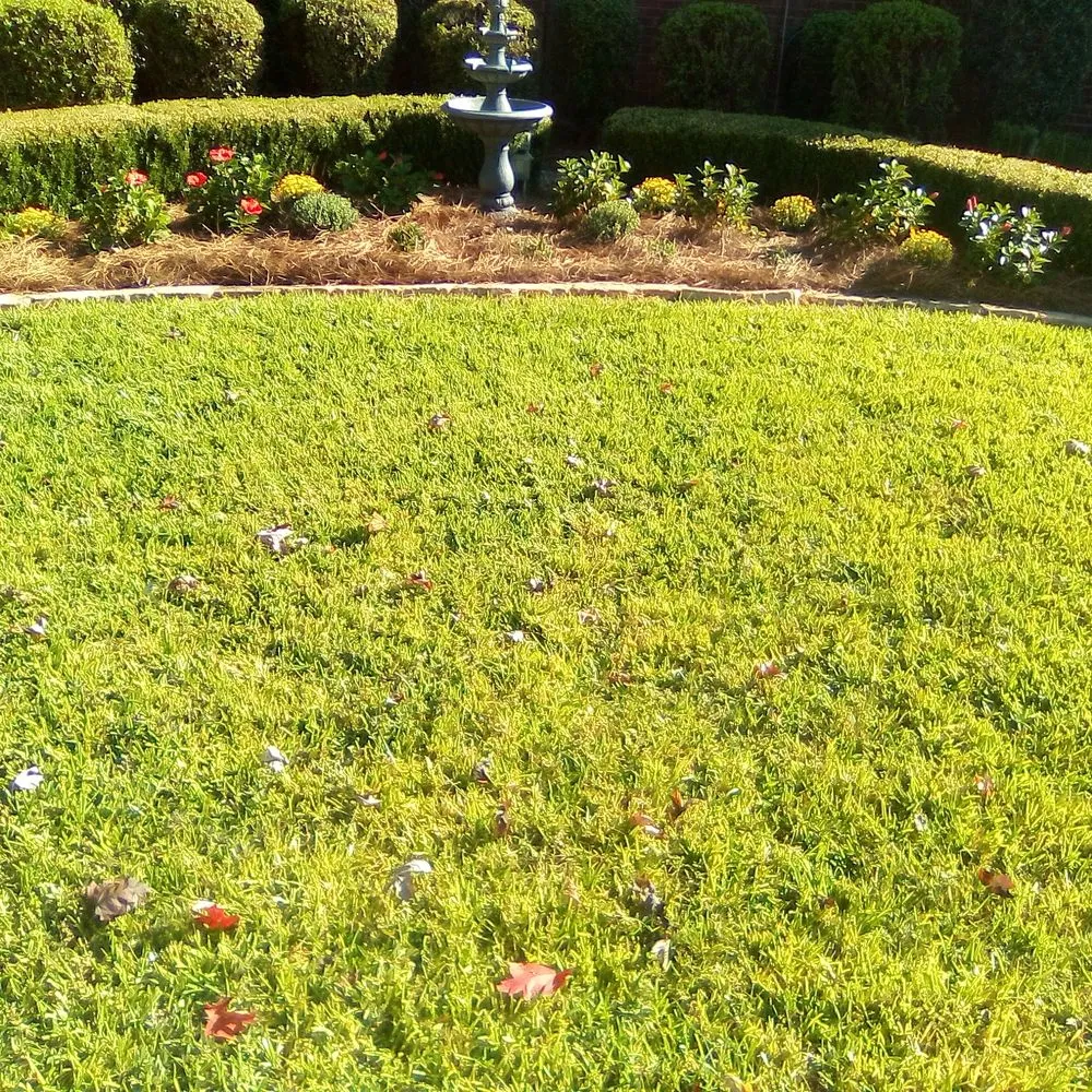 Top-rated outdoor landscaping for residential properties across Shreveport, LA - Everything Grass Services