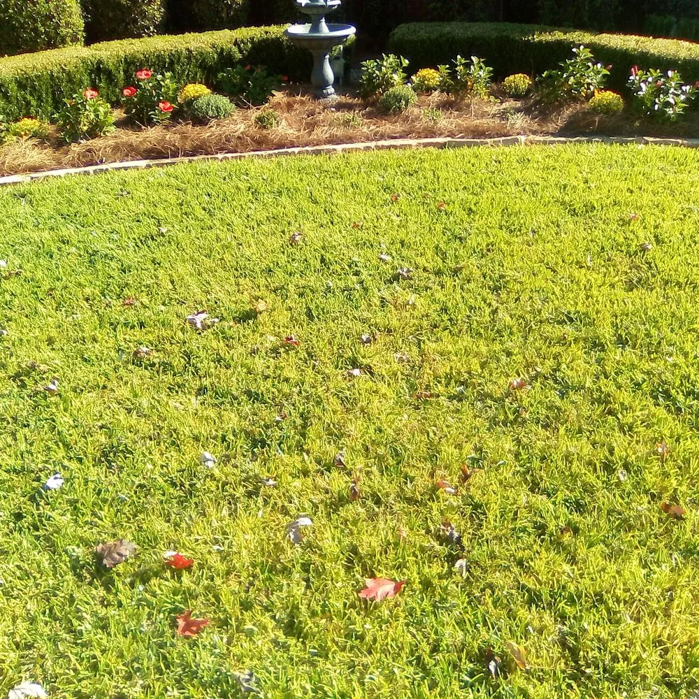 Top-rated yard cleanup service for homes in Shreveport, LA by Everything Grass Services