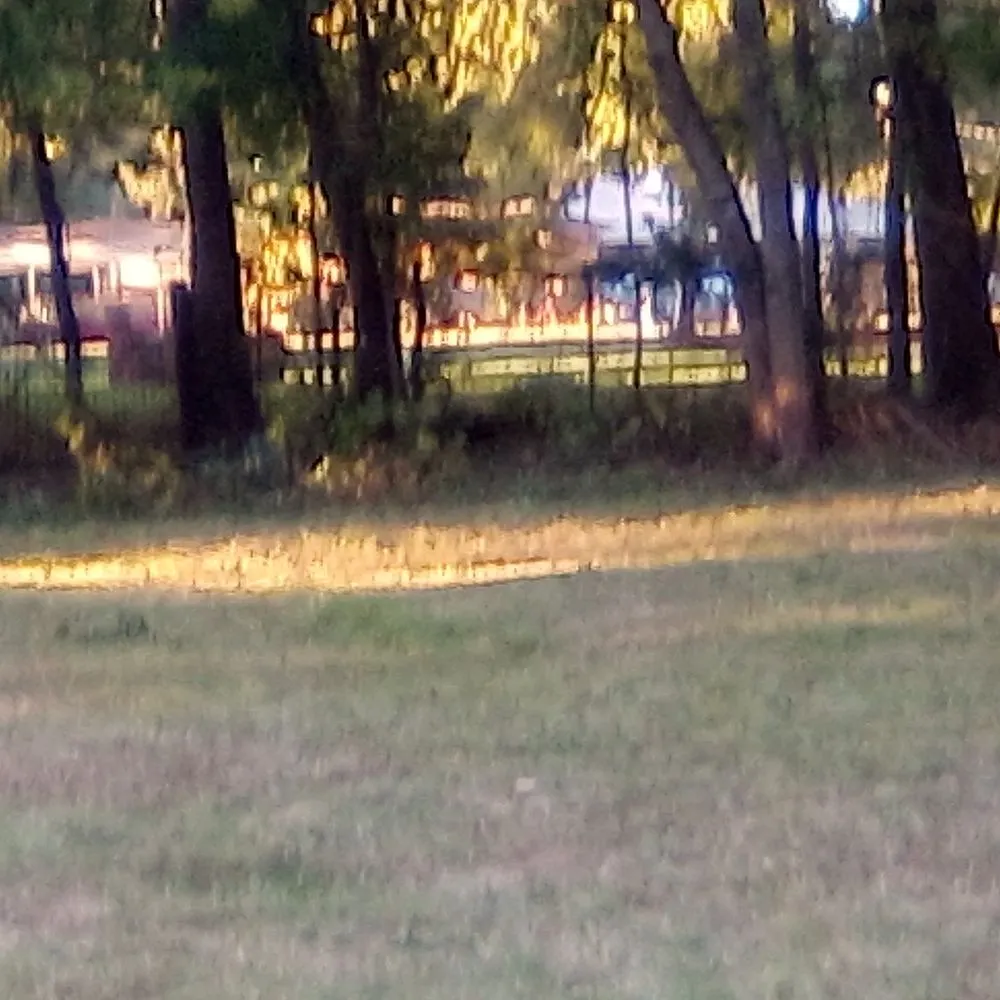 Top-rated residential landscaping in Shreveport, LA - Everything Grass Services