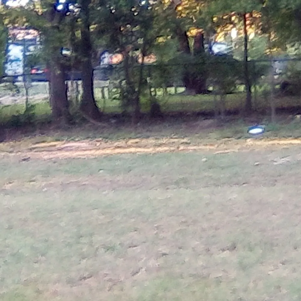 Professional garden landscaping in Shreveport, LA by Everything Grass Services