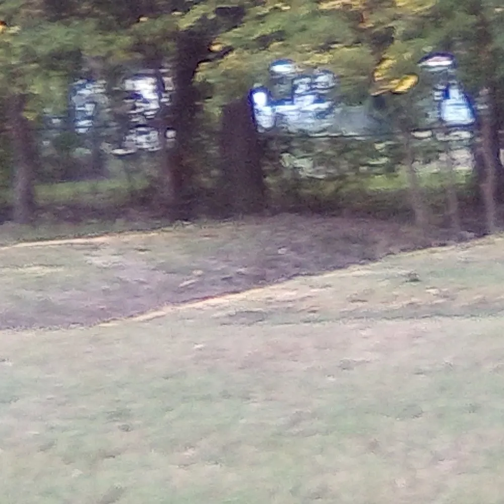 Local lawn care service for outdoor upgrades across Shreveport, LA - Everything Grass Services