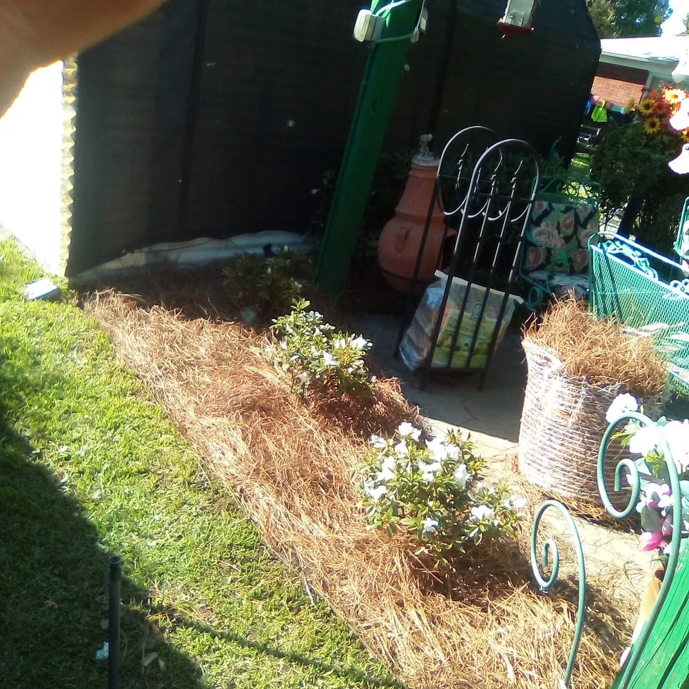 Trusted landscape design for residential properties in Shreveport, LA by Everything Grass Services