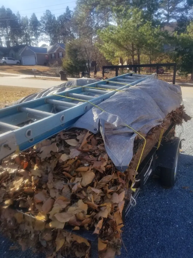 Professional lawn care service experts serving Pinehurst, NC - Everything Green and Leafy