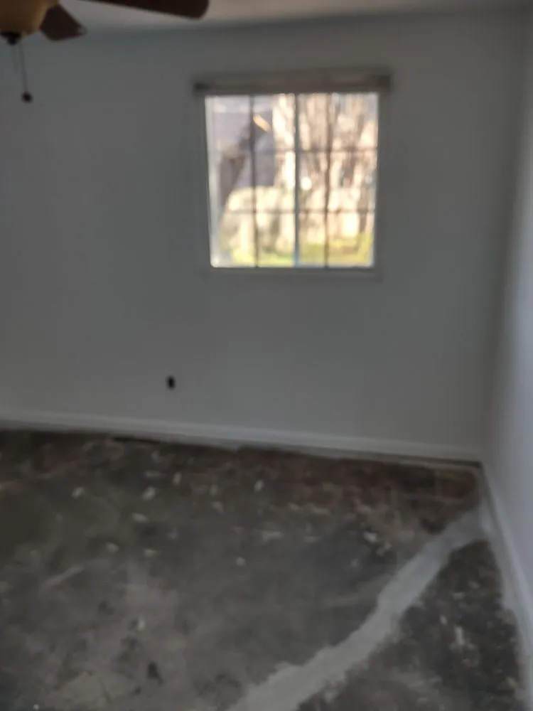 Affordable yard cleanup service in Kansas City, MO by Everything Guys