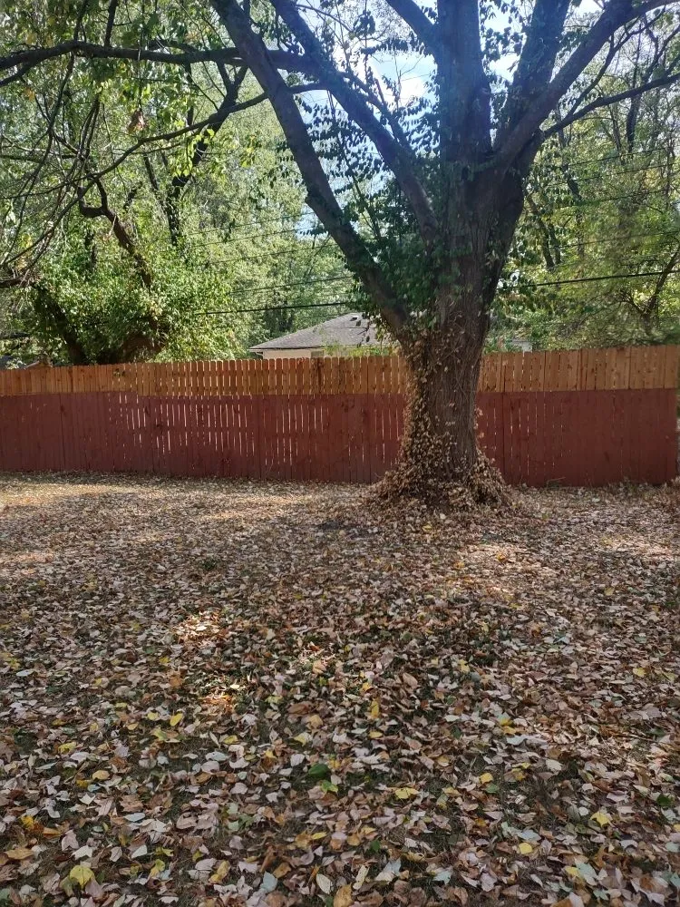 Local lawn care service in Kansas City, MO by Everything Guys