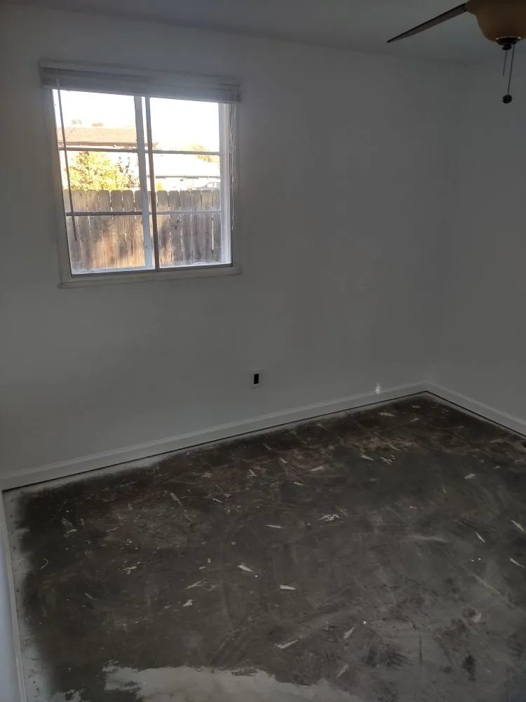 Top-rated lawn care service experts serving Kansas City, MO - Everything Guys