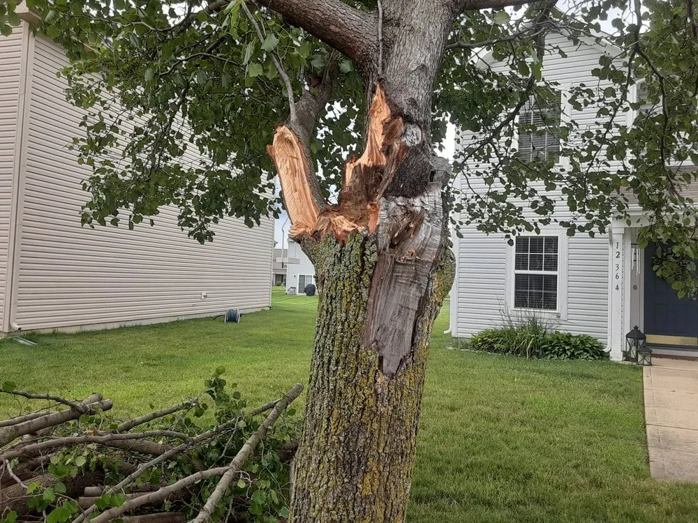 Professional landscaping services in Bastrop, TX by Everything Hands On