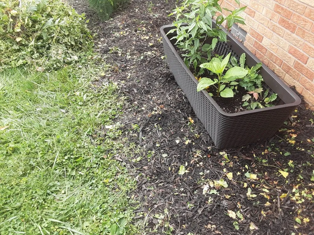 Affordable landscaping services experts serving Bastrop, TX - Everything Hands On