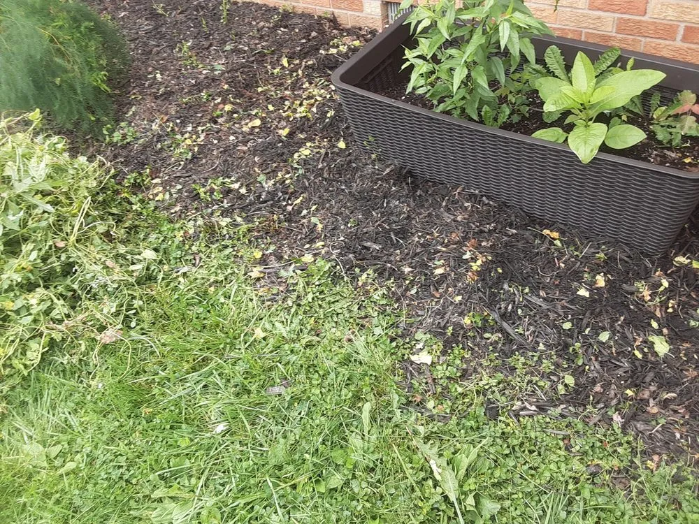 Professional outdoor landscaping for beautiful yards in Bastrop, TX by Everything Hands On