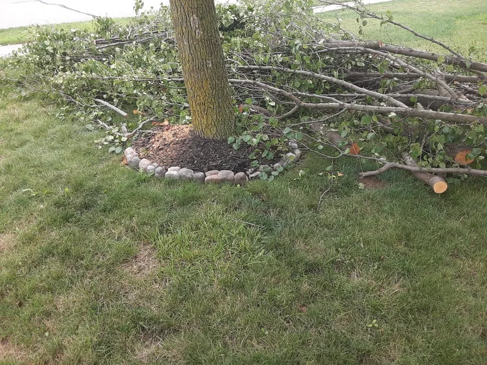 Local lawn mowing service in Bastrop, TX - Everything Hands On