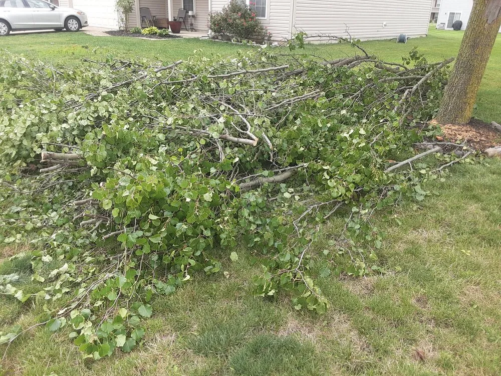 Local landscaping services experts serving Bastrop, TX - Everything Hands On