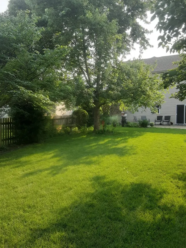 Reliable landscape installation in Bastrop, TX - Everything Hands On