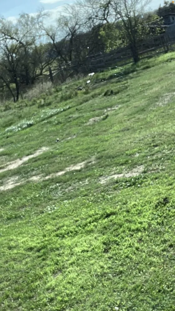 Professional yard maintenance for homes across Bastrop, TX - Everything Hands On