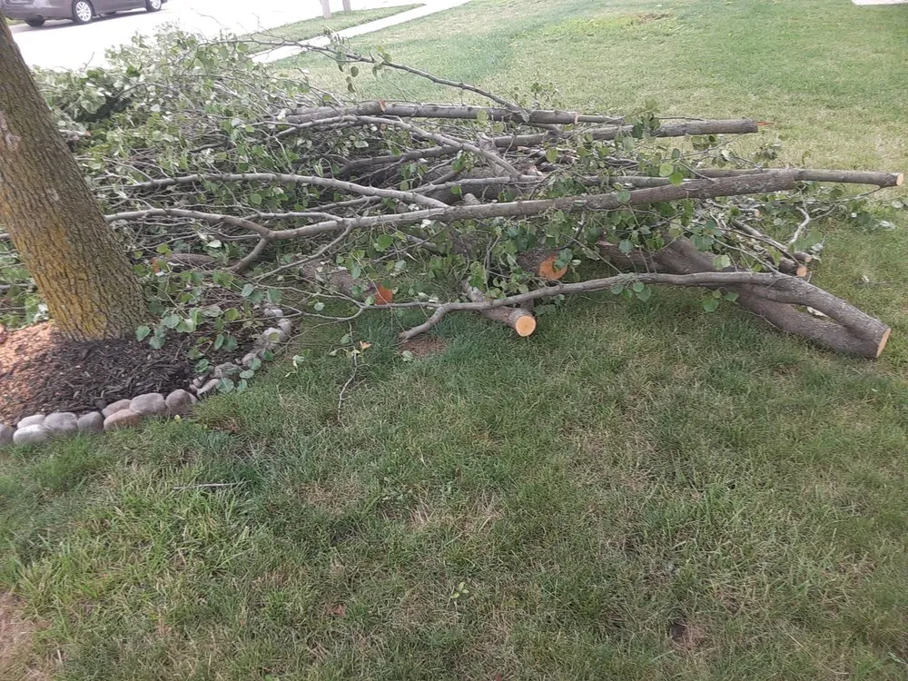 Trusted residential landscaping experts serving Bastrop, TX - Everything Hands On