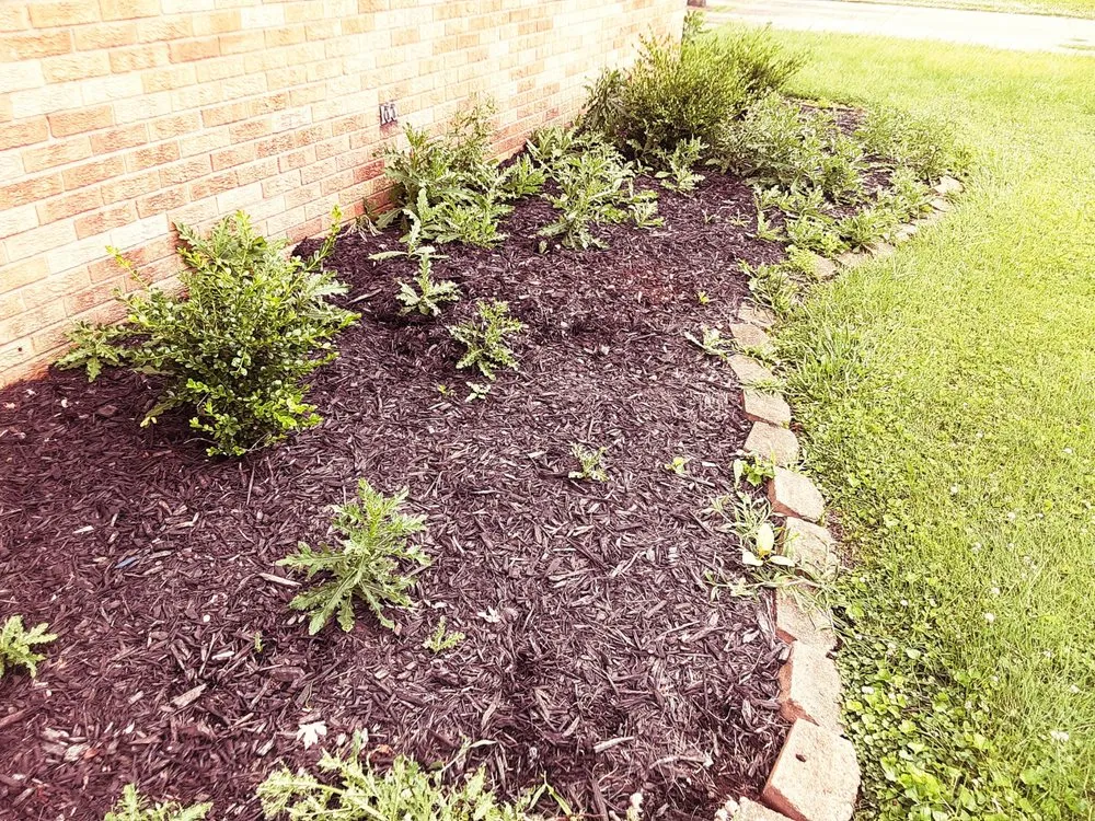 Top-rated landscape design in Bastrop, TX by Everything Hands On