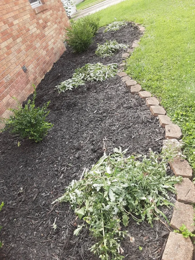 Trusted residential landscaping experts serving Bastrop, TX - Everything Hands On