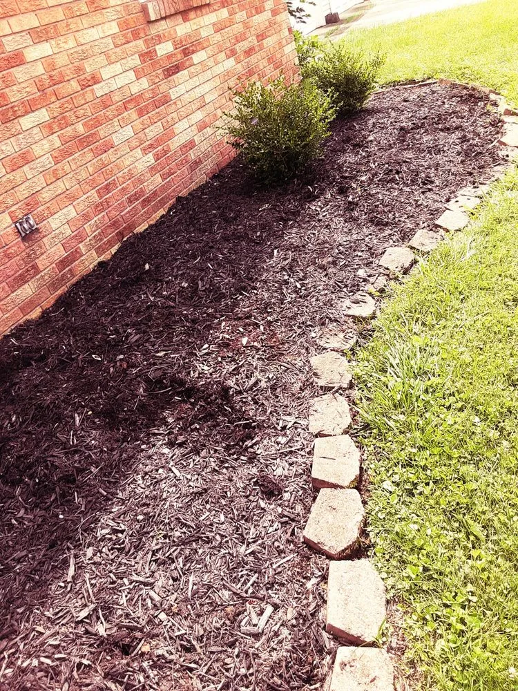 Local yard maintenance for homes in Bastrop, TX by Everything Hands On