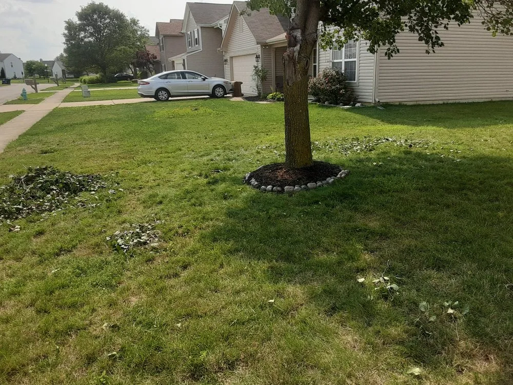 Reliable yard cleanup service for residential properties across Bastrop, TX - Everything Hands On