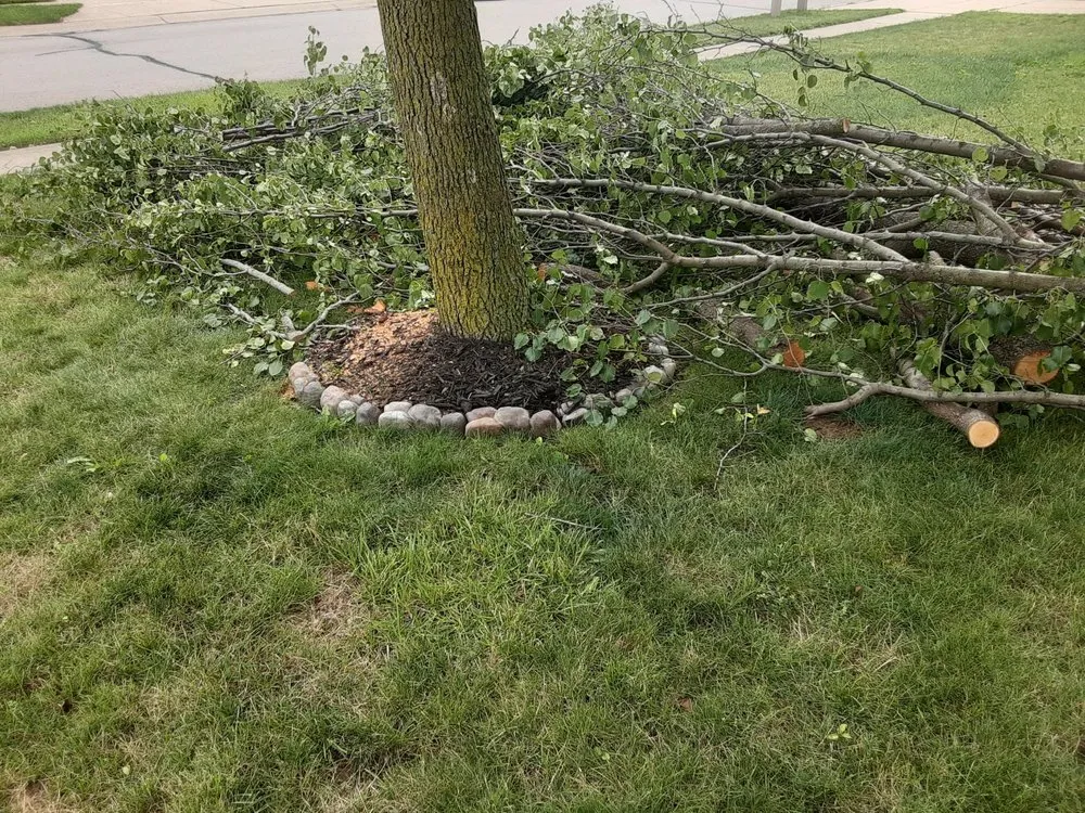 Top-rated lawn care service in Bastrop, TX by Everything Hands On