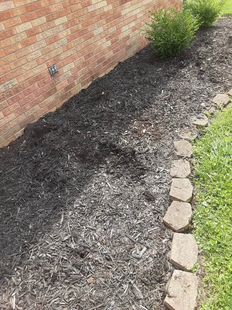 Expert landscape design for beautiful yards in Bastrop, TX by Everything Hands On