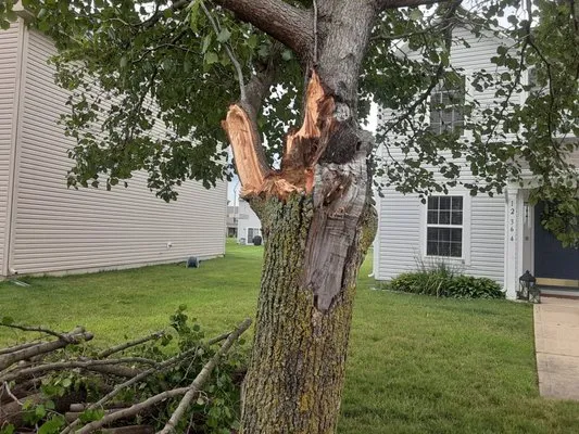 Everything Hands On Logo