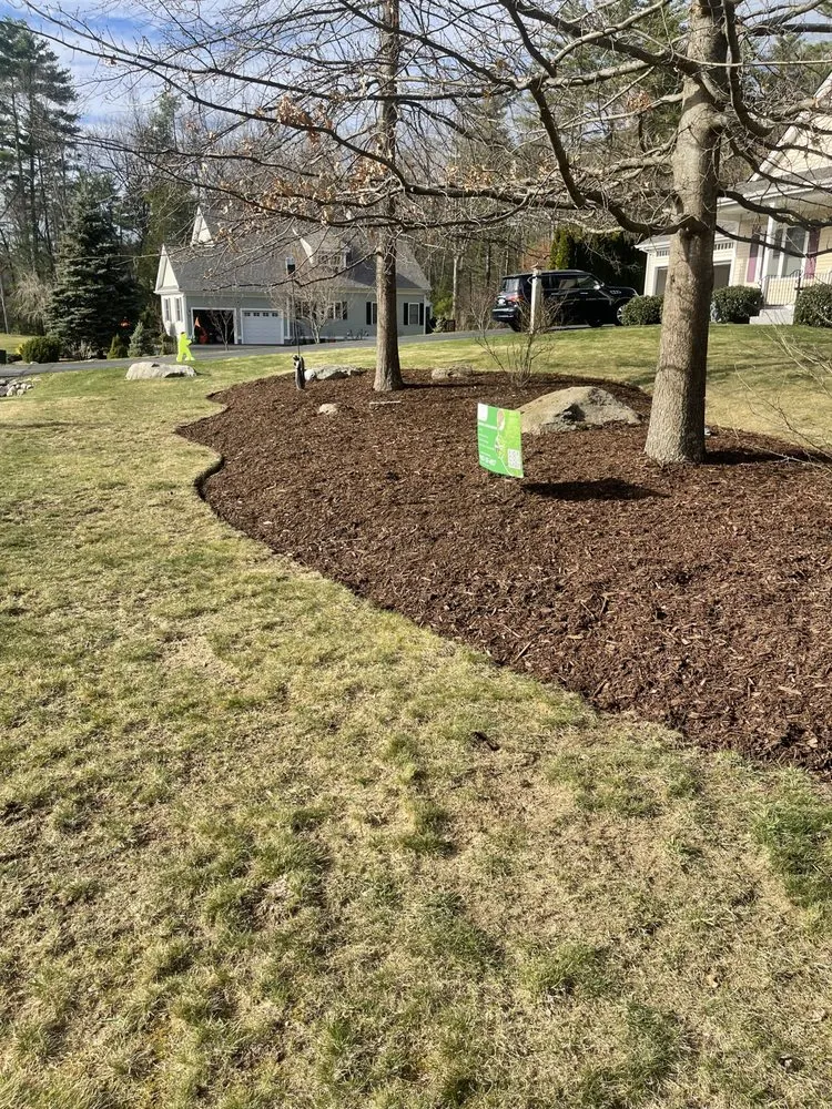 Expert yard cleanup service for outdoor upgrades in Hooksett, NH by Everything Home