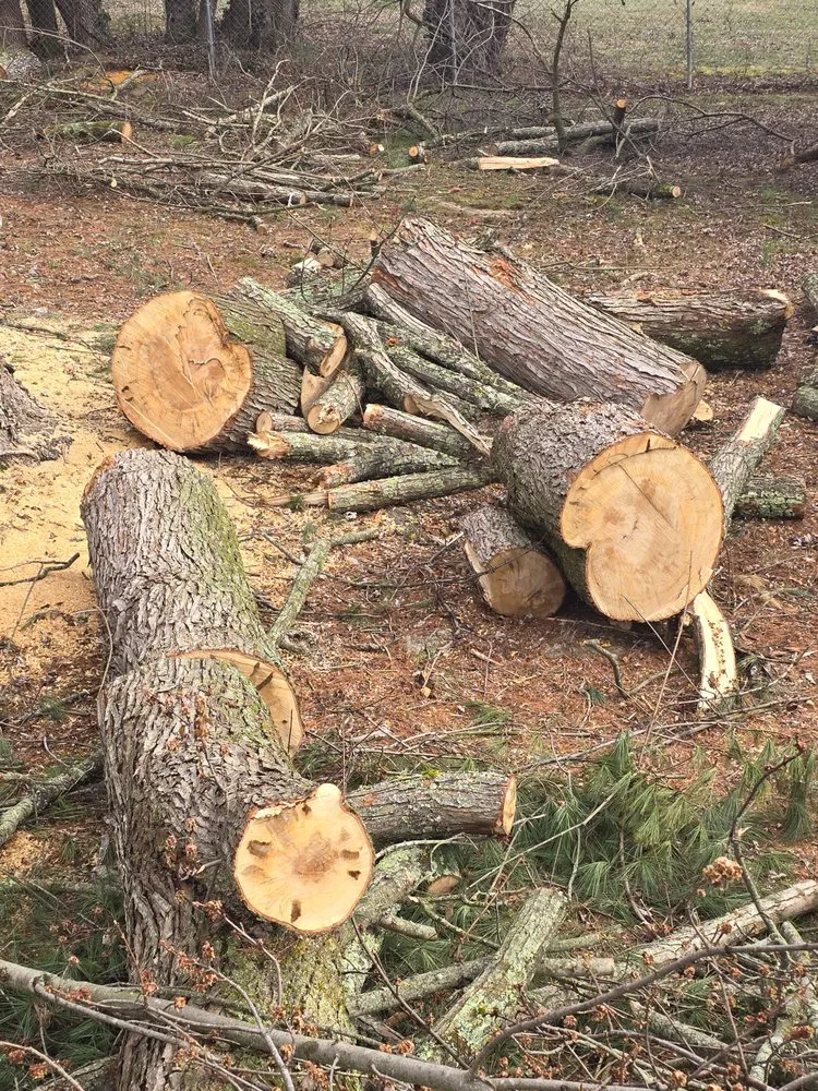 Professional landscape installation for residential properties in Afton, TN by Everything Landscaping