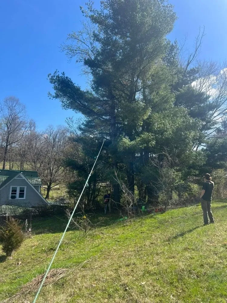 Top-rated yard maintenance for homes across Afton, TN - Everything Landscaping