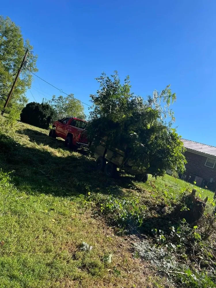 Affordable yard cleanup service for residential properties in Afton, TN by Everything Landscaping