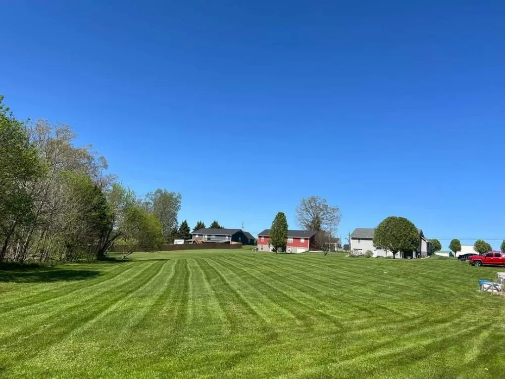 Professional landscaping services experts serving Afton, TN - Everything Landscaping