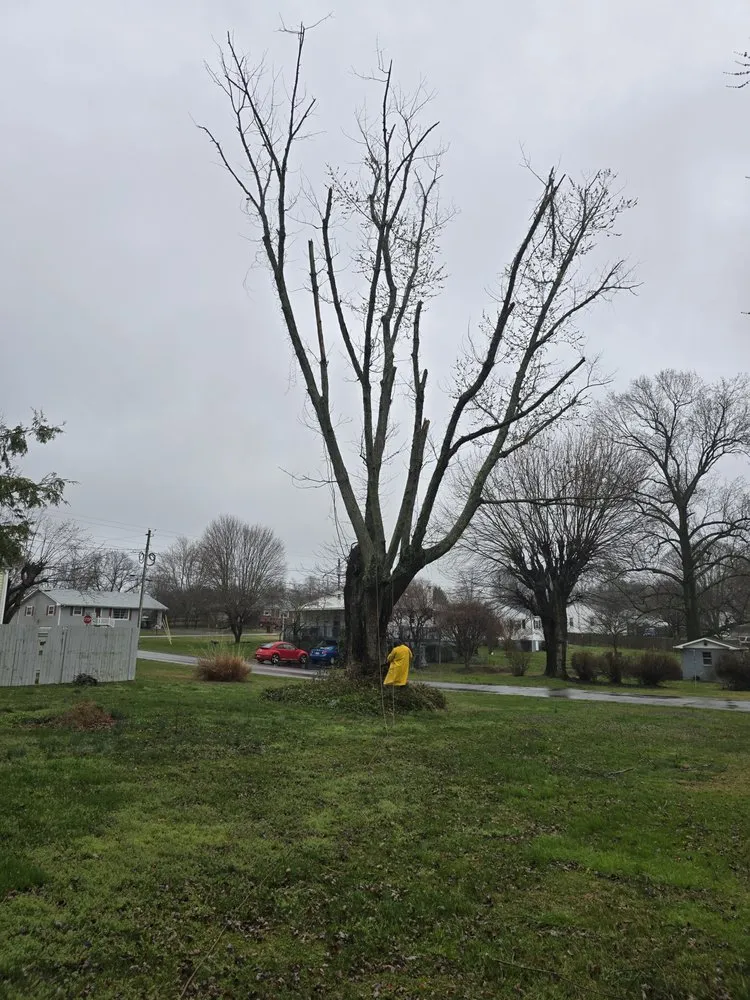 Expert lawn care service for residential properties in Afton, TN by Everything Landscaping