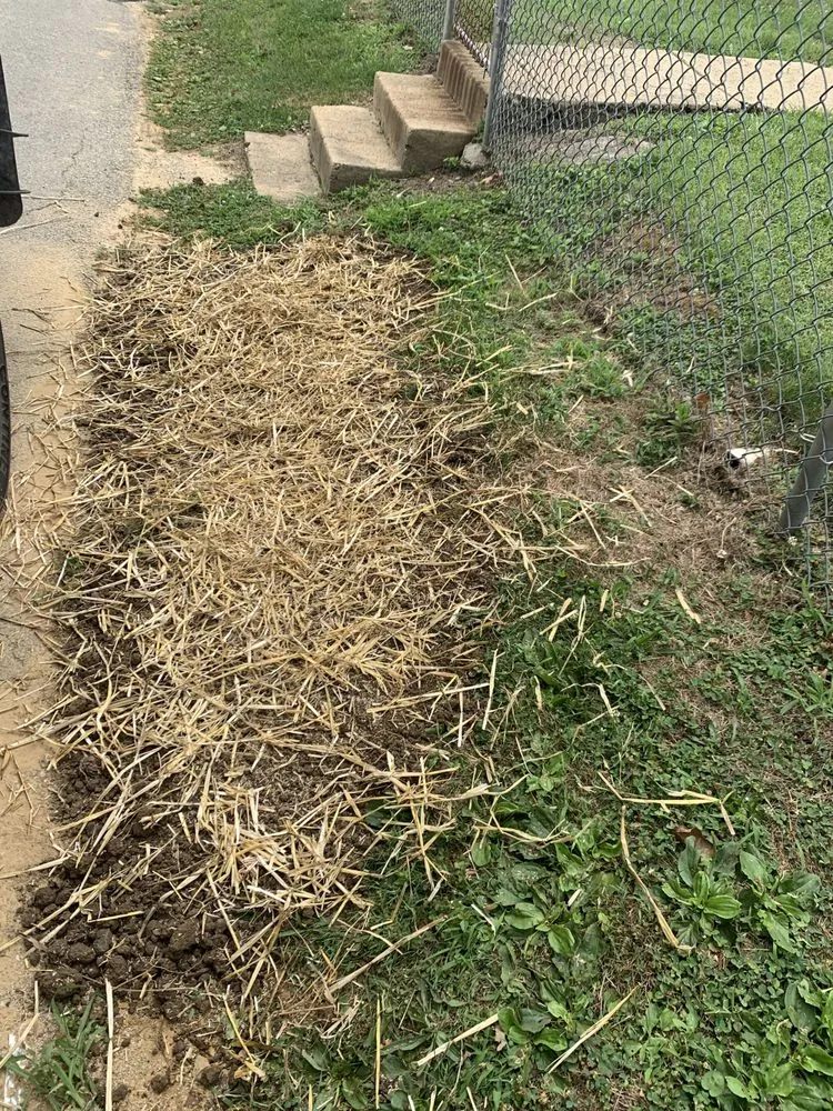 Local landscape installation for beautiful yards in Telford, PA by Everything Landscaping