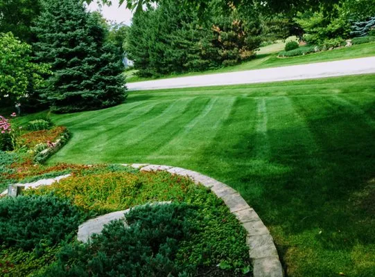 Everything lawn and More Logo