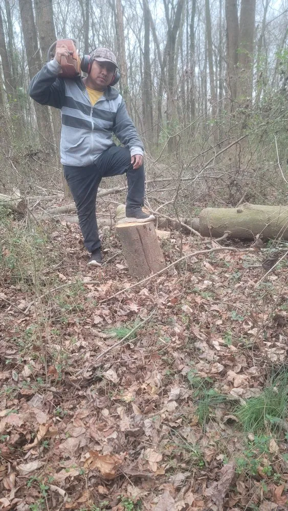 Expert landscaping services in Jefferson, GA by Everything Lawn Care