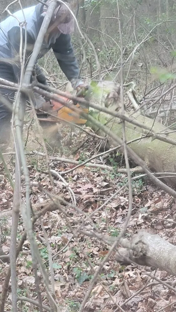 Custom lawn mowing service for outdoor upgrades across Jefferson, GA - Everything Lawn Care