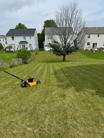Trusted garden landscaping in Apple Valley, MN by Everything Lawn Care Outdoor Services