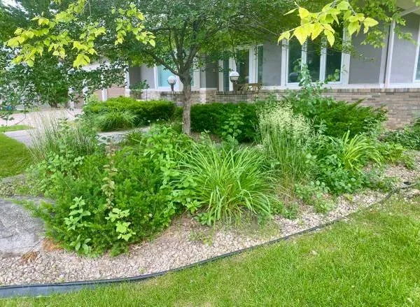 Top-rated yard cleanup service in Apple Valley, MN by Everything Lawn Care Outdoor Services