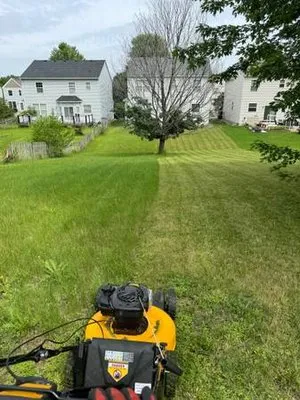 Everything Lawn Care Outdoor Services