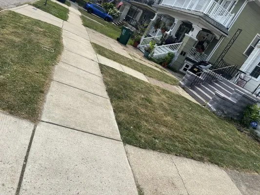 Everything lovely services