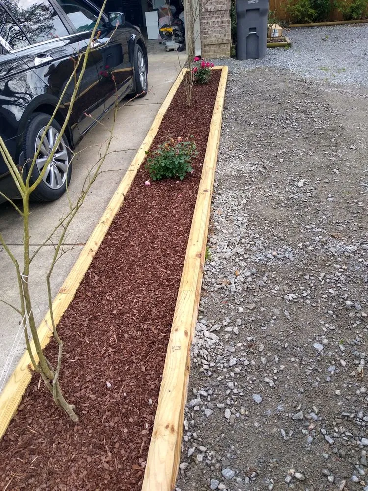 Top-rated yard cleanup service in Hot Springs National Park, AR - Everything-N-Moore