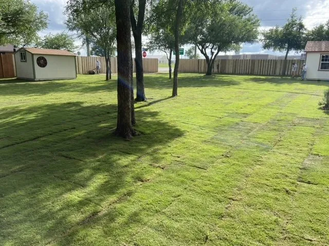 Reliable lawn mowing service for residential properties across Aledo, TX - Everything Outdoors