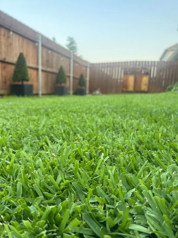 Local yard cleanup service for residential properties across Aledo, TX - Everything Outdoors