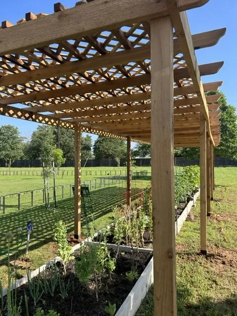 Affordable landscape design for outdoor upgrades in Aledo, TX by Everything Outdoors