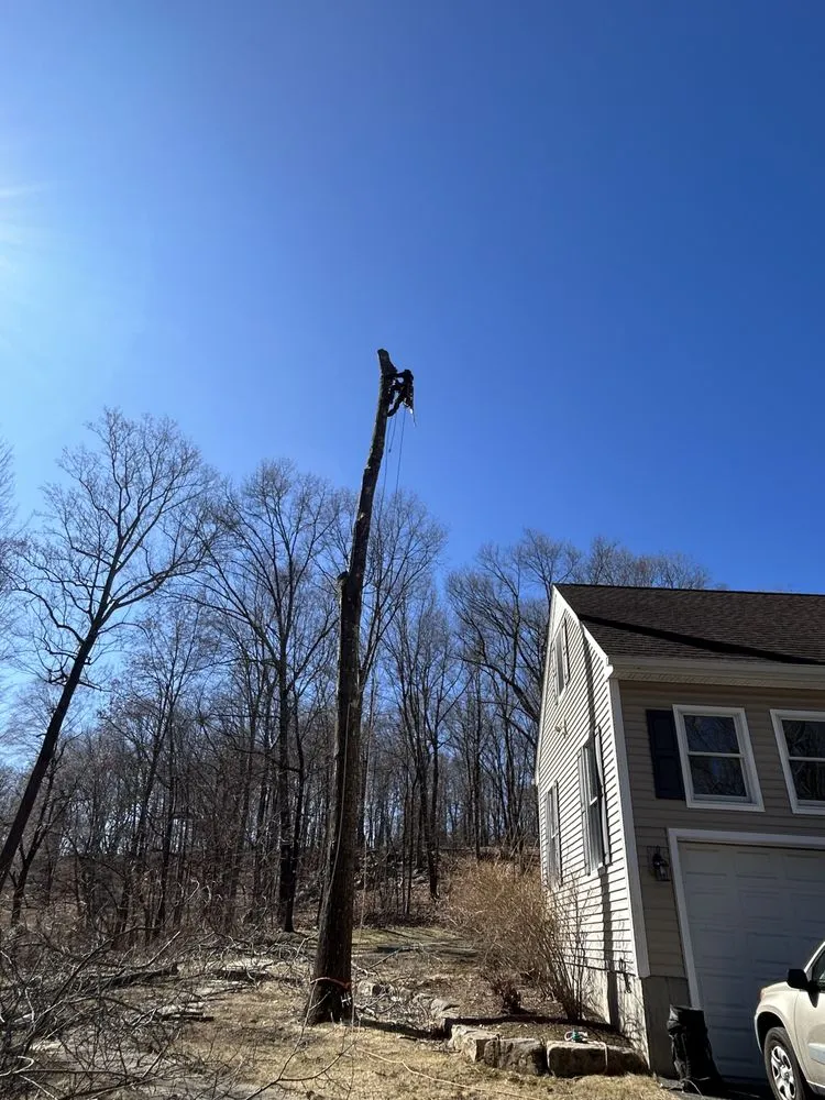 Top-rated yard cleanup service in Cortlandt, NY - Everything Outdoors