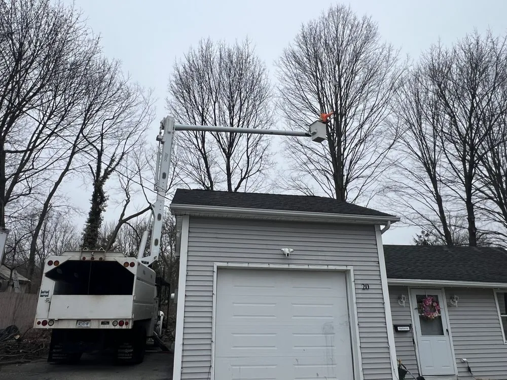 Affordable lawn care service for residential properties across Cortlandt, NY - Everything Outdoors