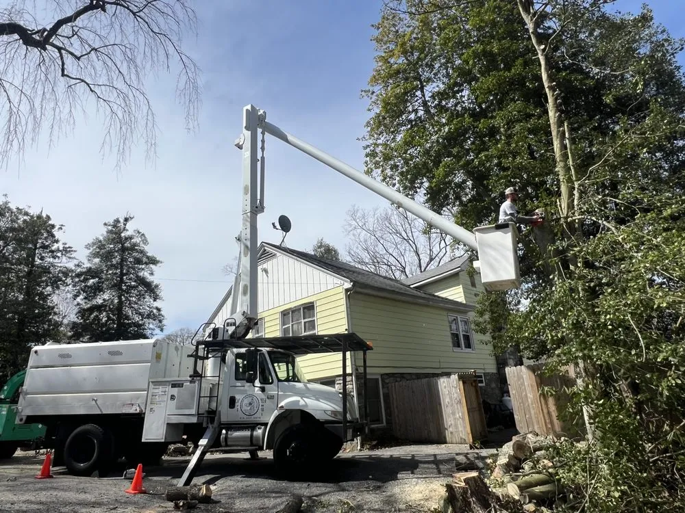 Affordable lawn mowing service experts serving Cortlandt, NY - Everything Outdoors