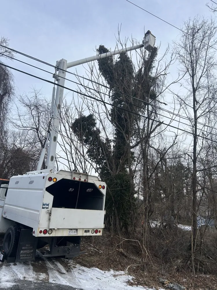 Expert landscaping services in Cortlandt, NY - Everything Outdoors